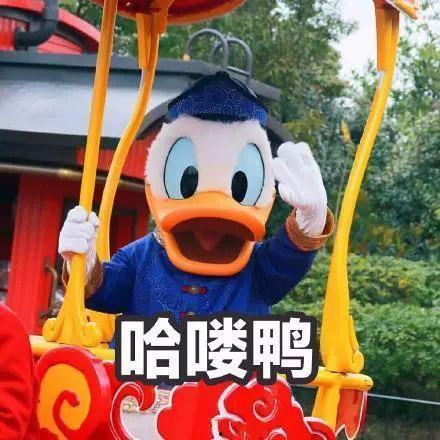 吃瓜娱乐鸭,揭秘娱乐圈幕后故事